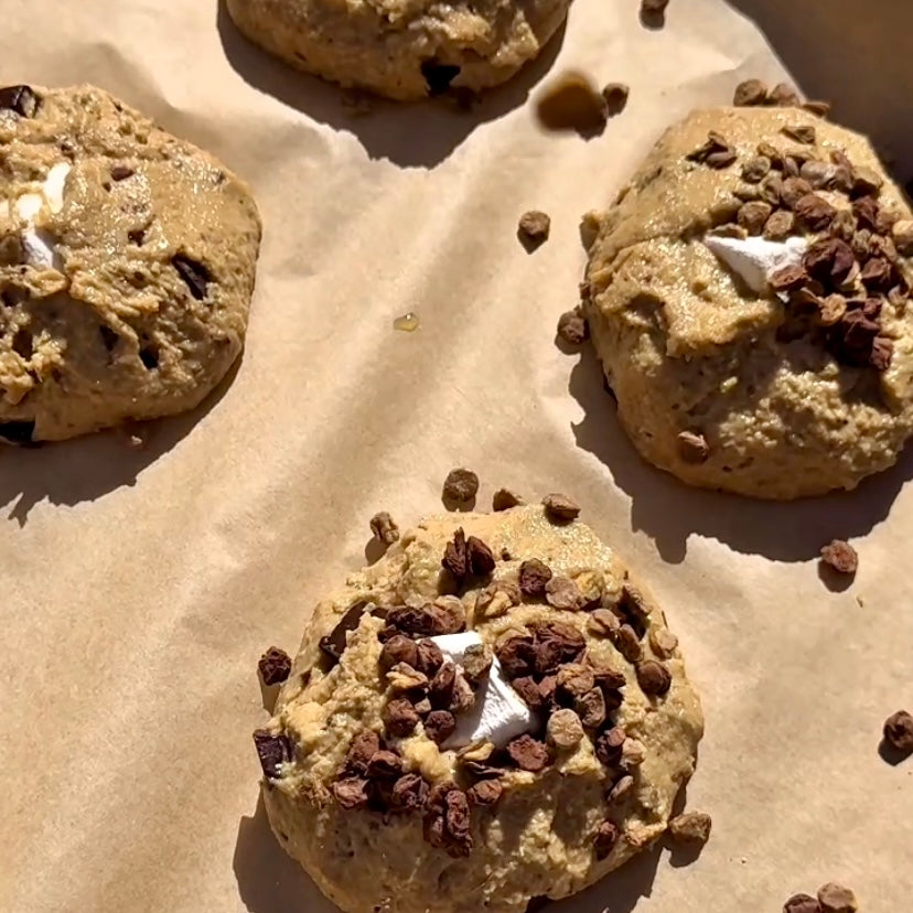 Lentil Telepathy Chocolate Crunchy Toasted Snack 3 Pack