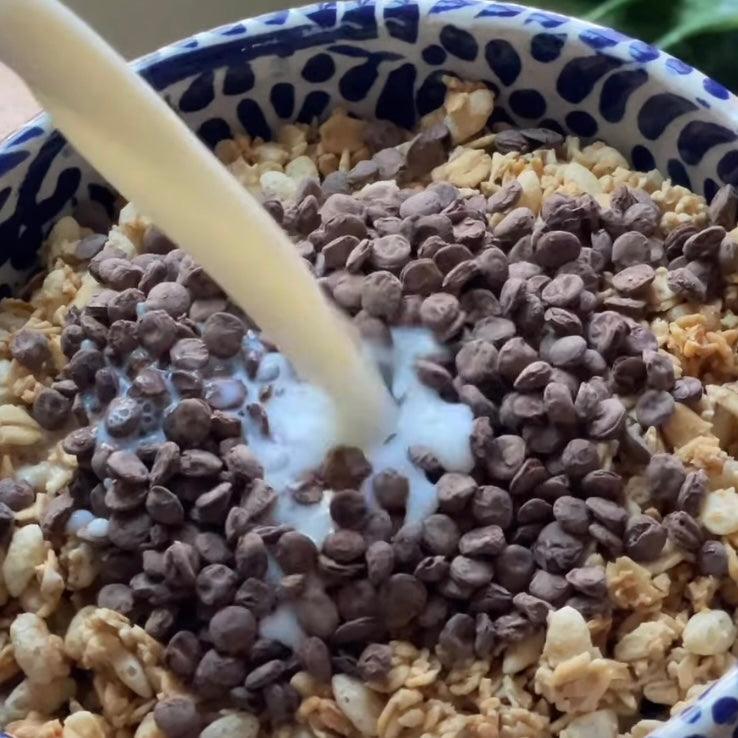 Lentil Telepathy Chocolate Crunchy Toasted Lentil Breakfast and Dessert Topper - Lentil Telepathy