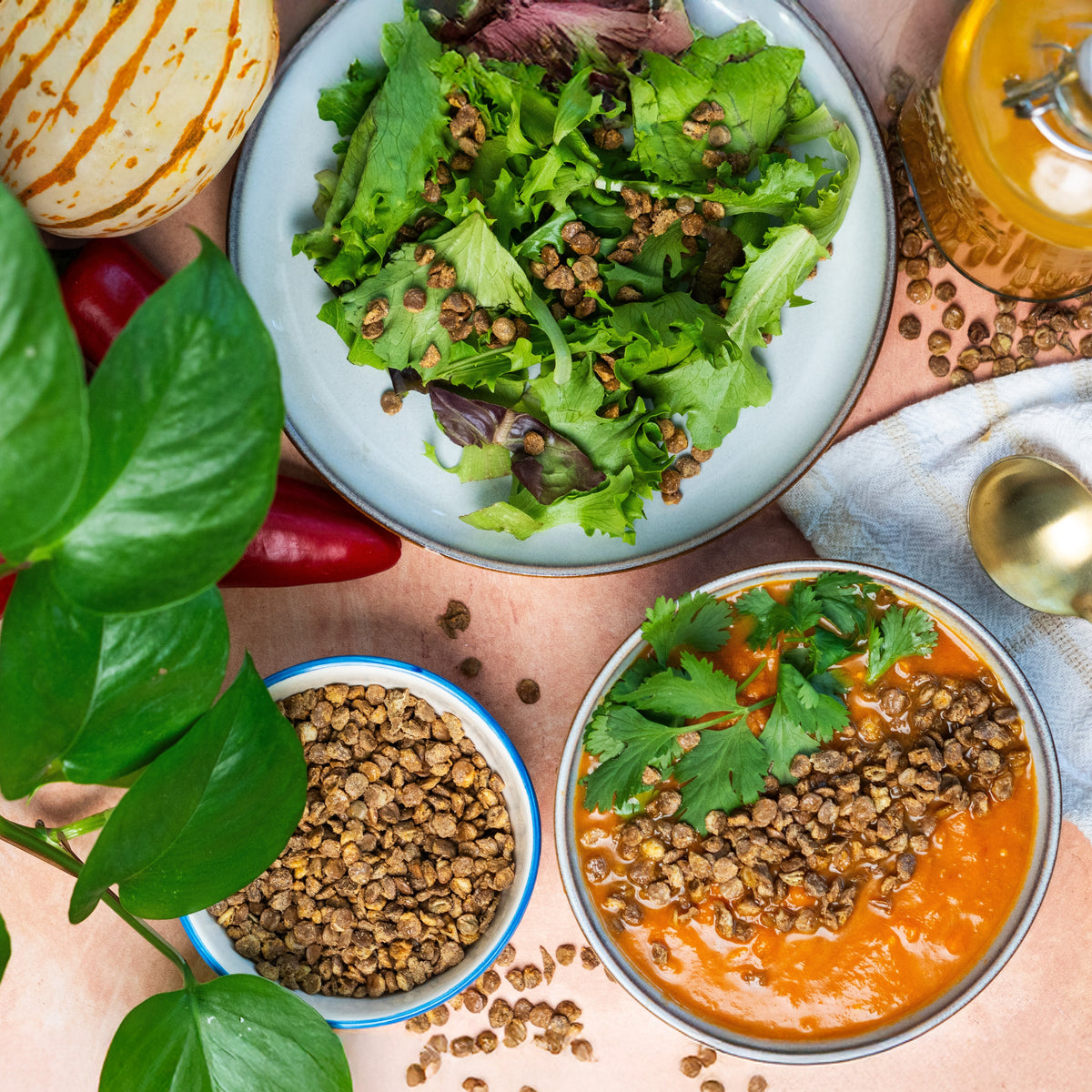 Lentil Telepathy Savory Cheddah (Dairy Free) Crunchy Toasted Toppers